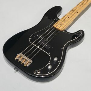 Fresher Personal Bass